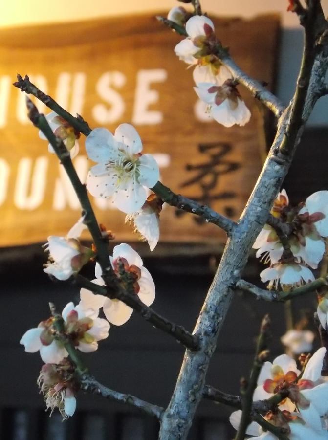 Guesthouse Yawara Okayama Eksteriør bilde